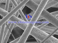 tungsten wire SEM image