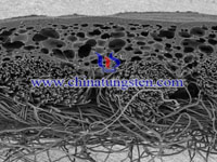 tungsten wire SEM image