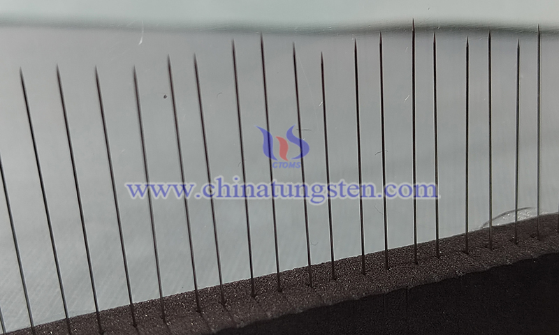 CTIA tungsten needle in scanning probe microscopy and nanocharacterization photo