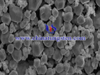 tungsten powder SEM image